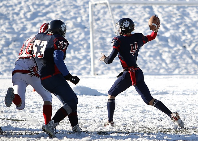 何利用他的 何利用他的