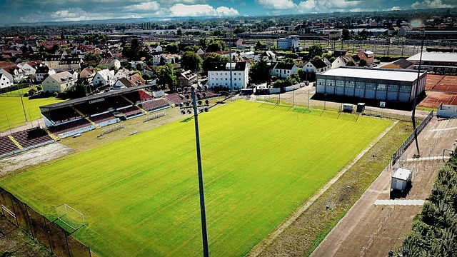 而俄罗斯则 而俄罗斯则