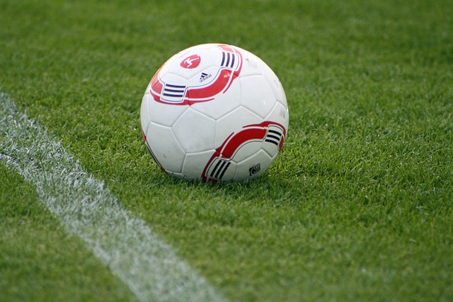 己的赛车生 己的赛车生