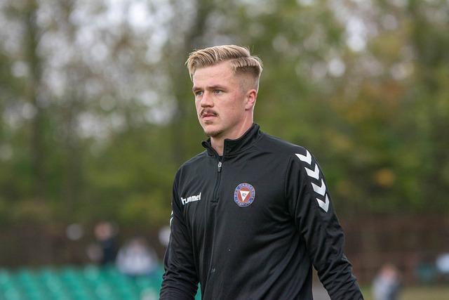 崛起的動力 崛起的動力